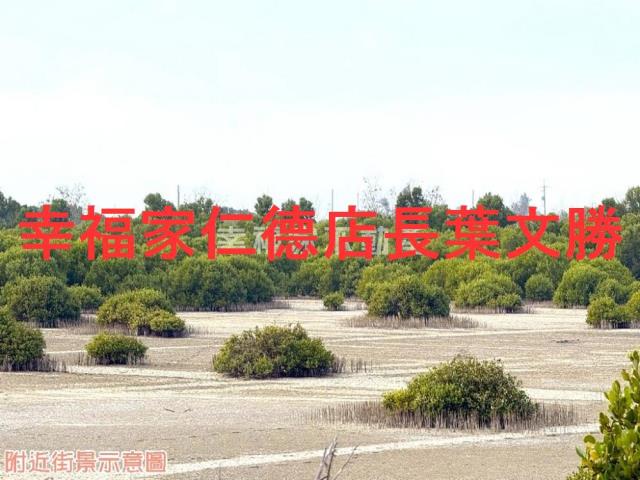 台南安南農地-0