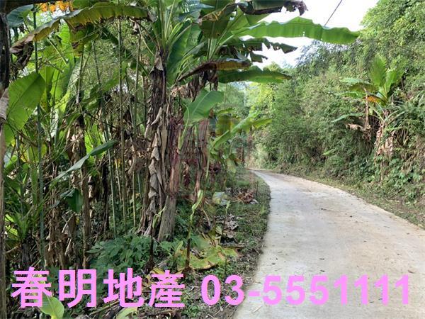 新竹尖石林地-4