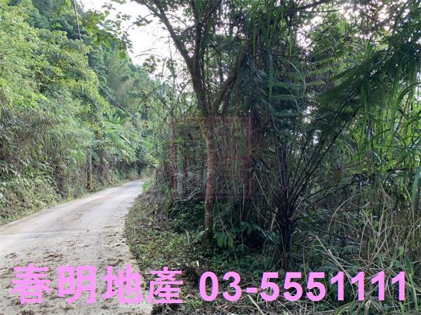 新竹尖石林地-5