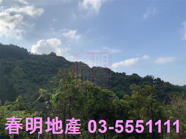 新竹尖石林地-7