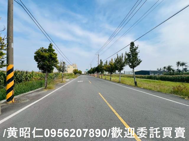 台南安定農地-4