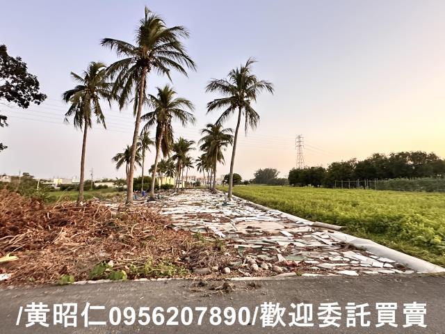 台南仁德農地-10