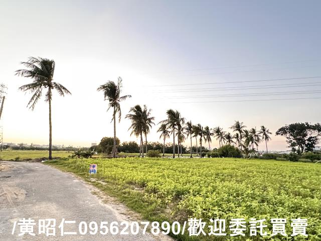 台南仁德農地-1