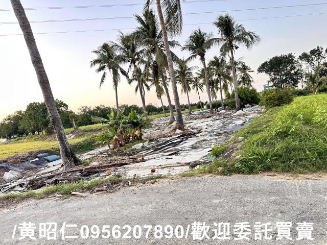台南仁德農地-2