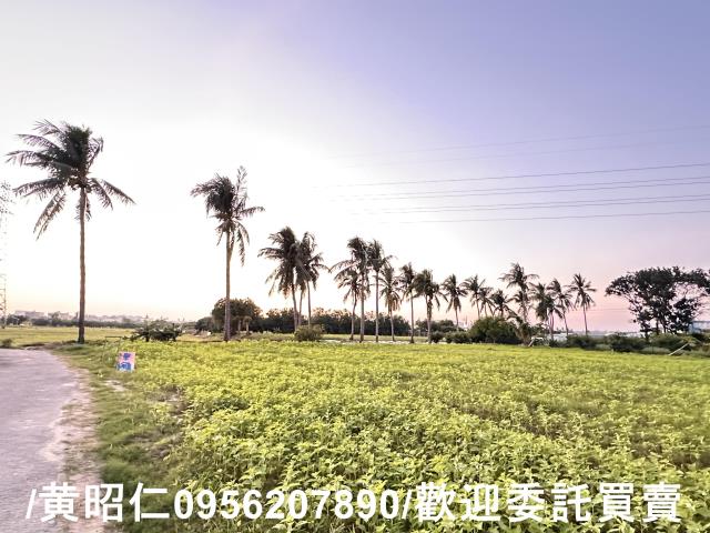 台南仁德農地-6