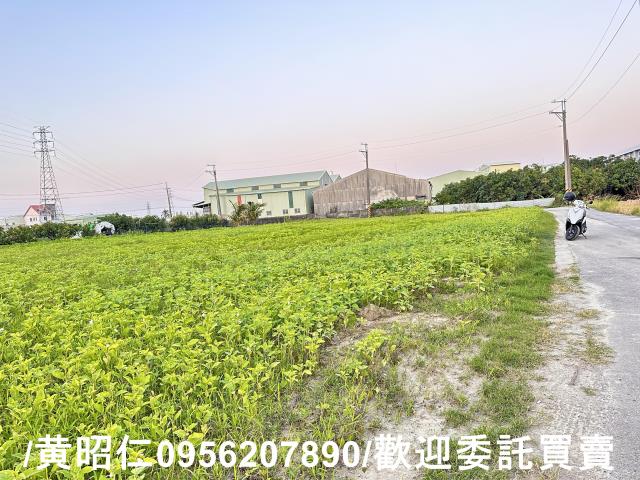 台南仁德農地-7