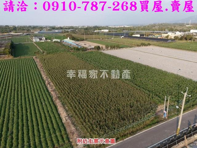 柳營農地-0