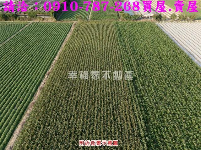 柳營農地-5