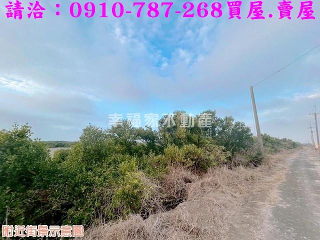 台南農地-13