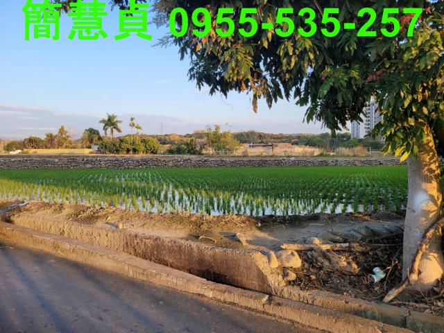 南投草屯農地-5