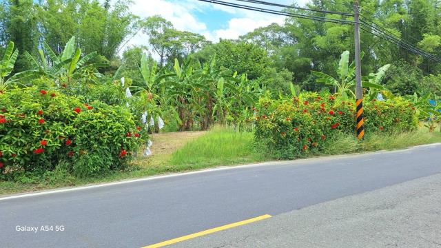 台南左鎮農地-2