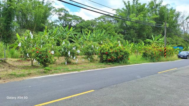 台南左鎮農地-3