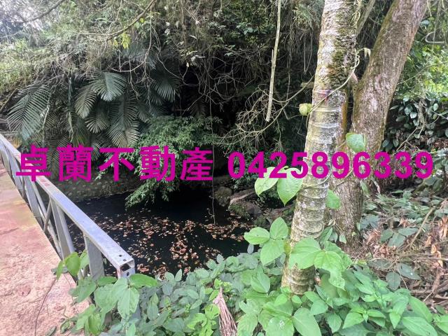 苗栗卓蘭農地-9