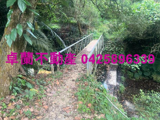 苗栗卓蘭農地-0