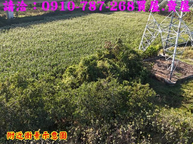 台南新市農地-5
