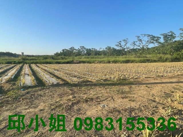 嘉義買房賣房房地合一稅建地農地