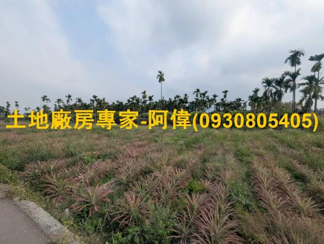 潮州鎮近光春路農地1096坪出售