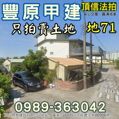 台中法拍建地-0