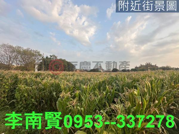 台南農地-4