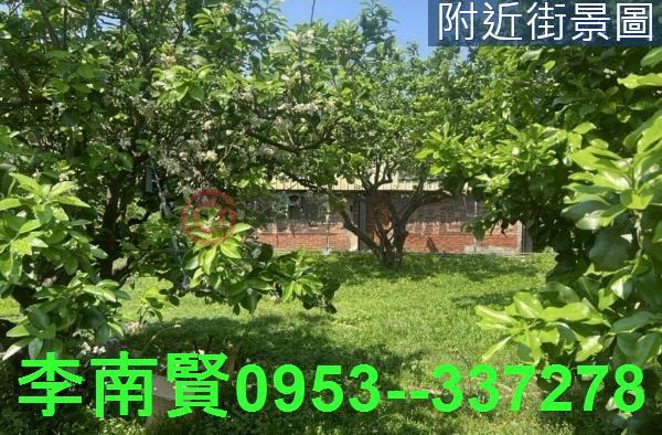 台南農地-2