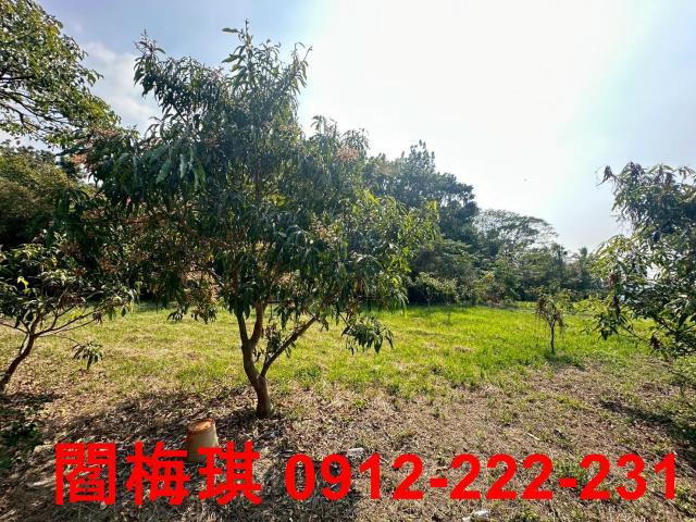 台南楠西農地-0