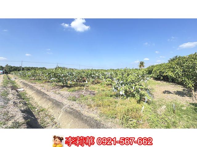 台南玉井農地-9