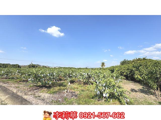 台南玉井農地-10