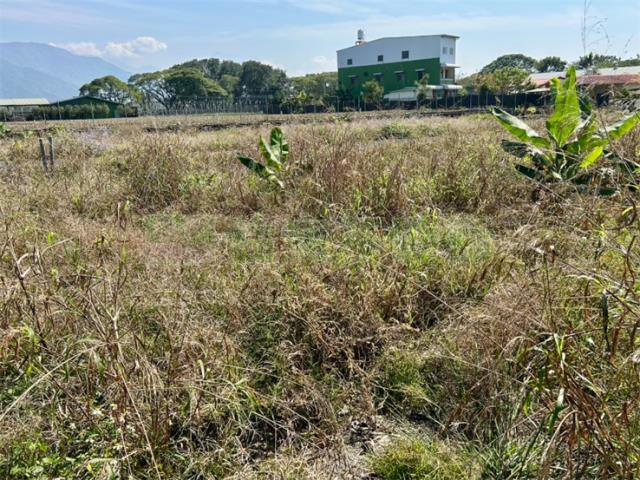 屏東高樹農地-3