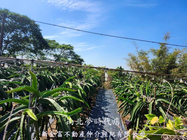 龍崎農地-2