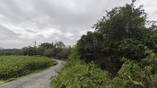 阿蓮農地-0
