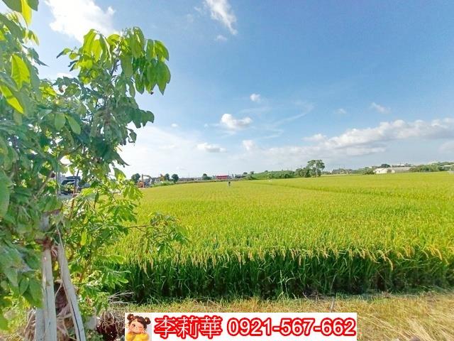 六甲農地-9