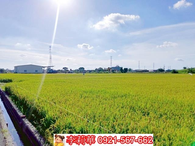 六甲農地-11