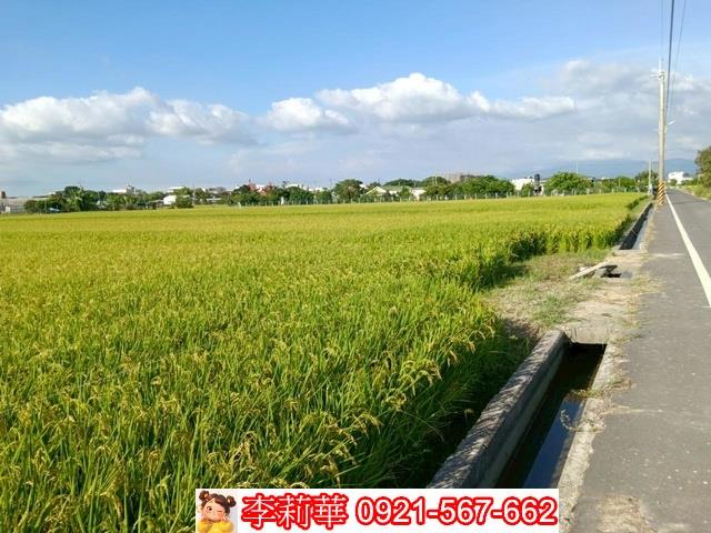 六甲農地-3