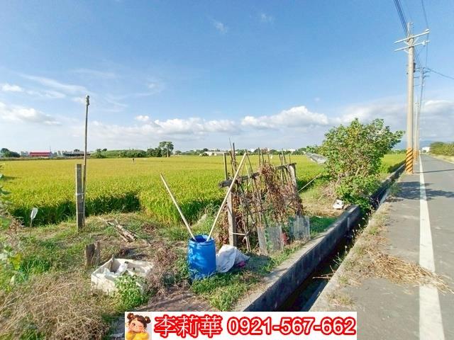 六甲農地-4