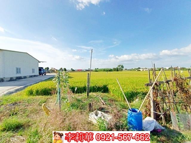 六甲農地-5