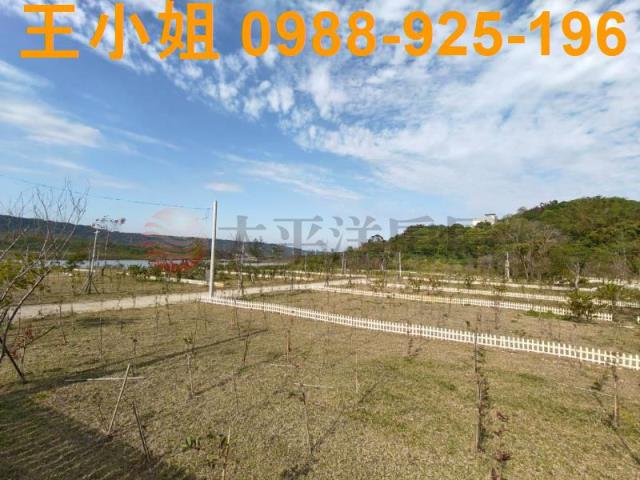 桃園大溪農地-2