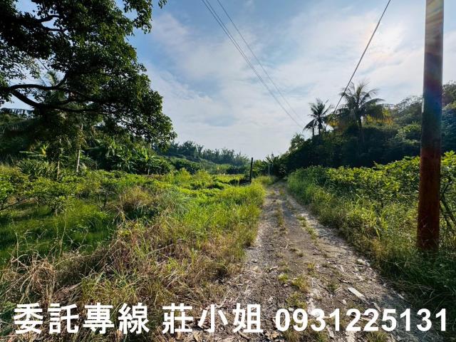 台南左鎮農地-3