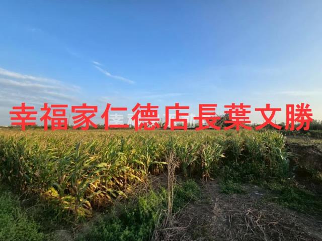 後壁農地-0