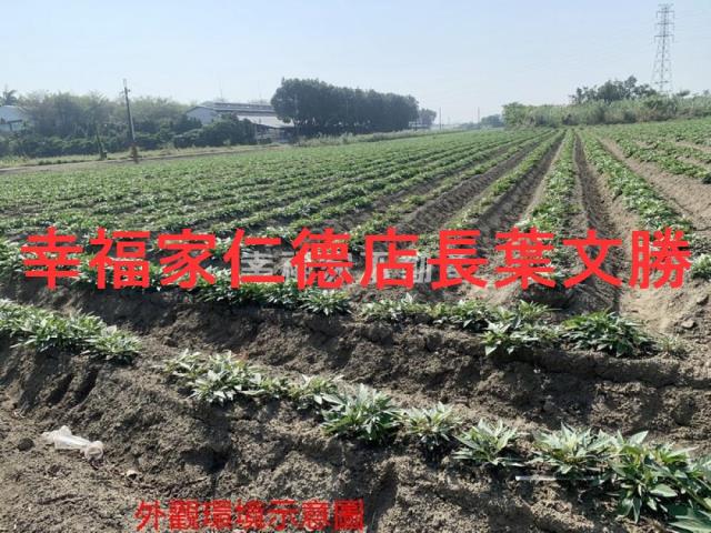 善化農地-14