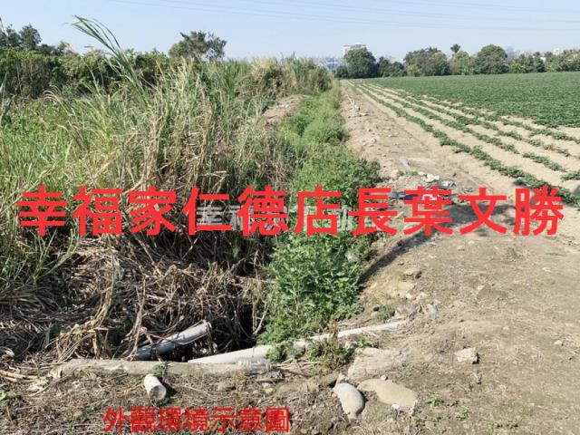 善化農地-12