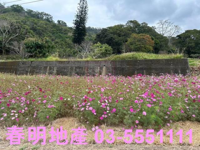 新竹縣芎林鄉下山竹22鄉道美農地春明地產