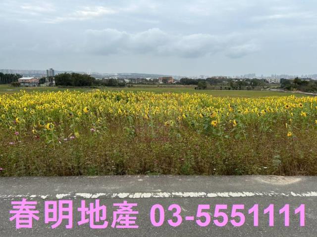 新竹芎林農地-1