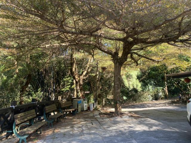 台中東勢農地-0