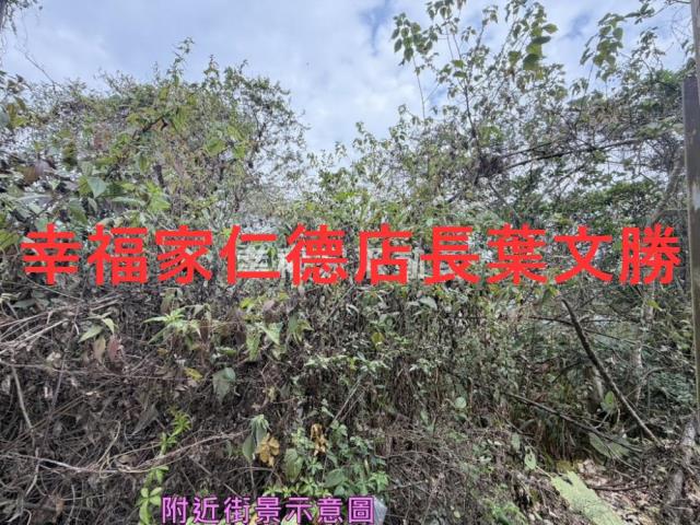 台南白河農地-10