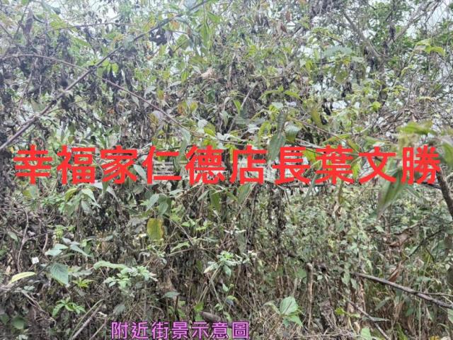 台南白河農地-1