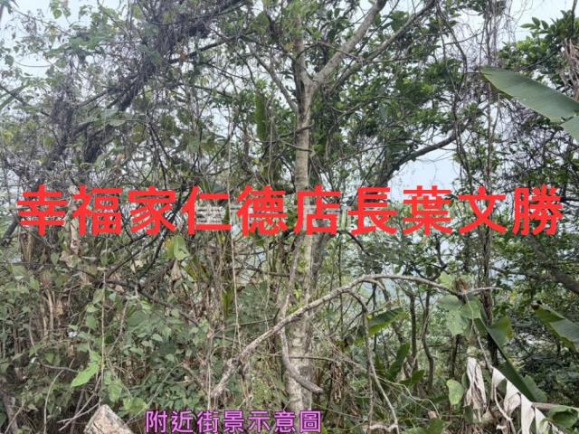 台南白河農地-5