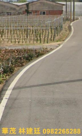 嘉義中埔農地法拍-3