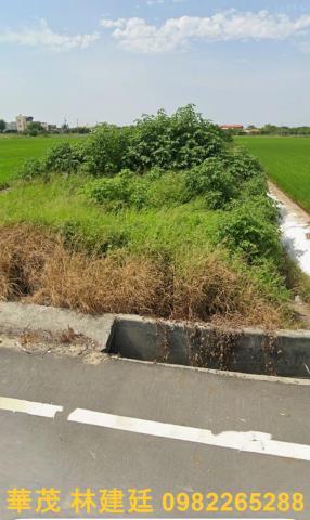 新港農地法拍-2