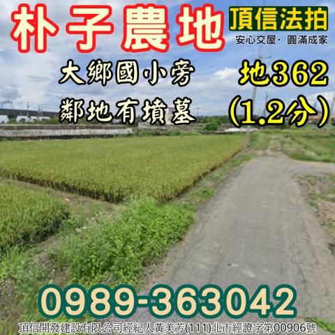 朴子農地拍賣-0