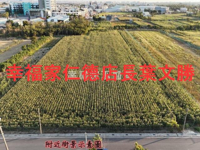 西港農地-1